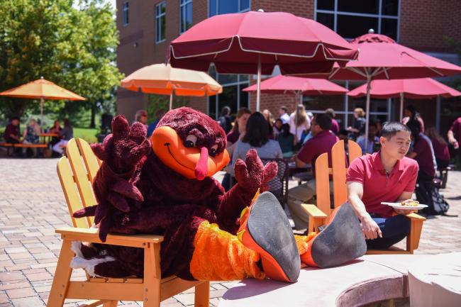 Virginia Tech Hokie mascot poses in a chair outside of the VCOM-Virginia building.