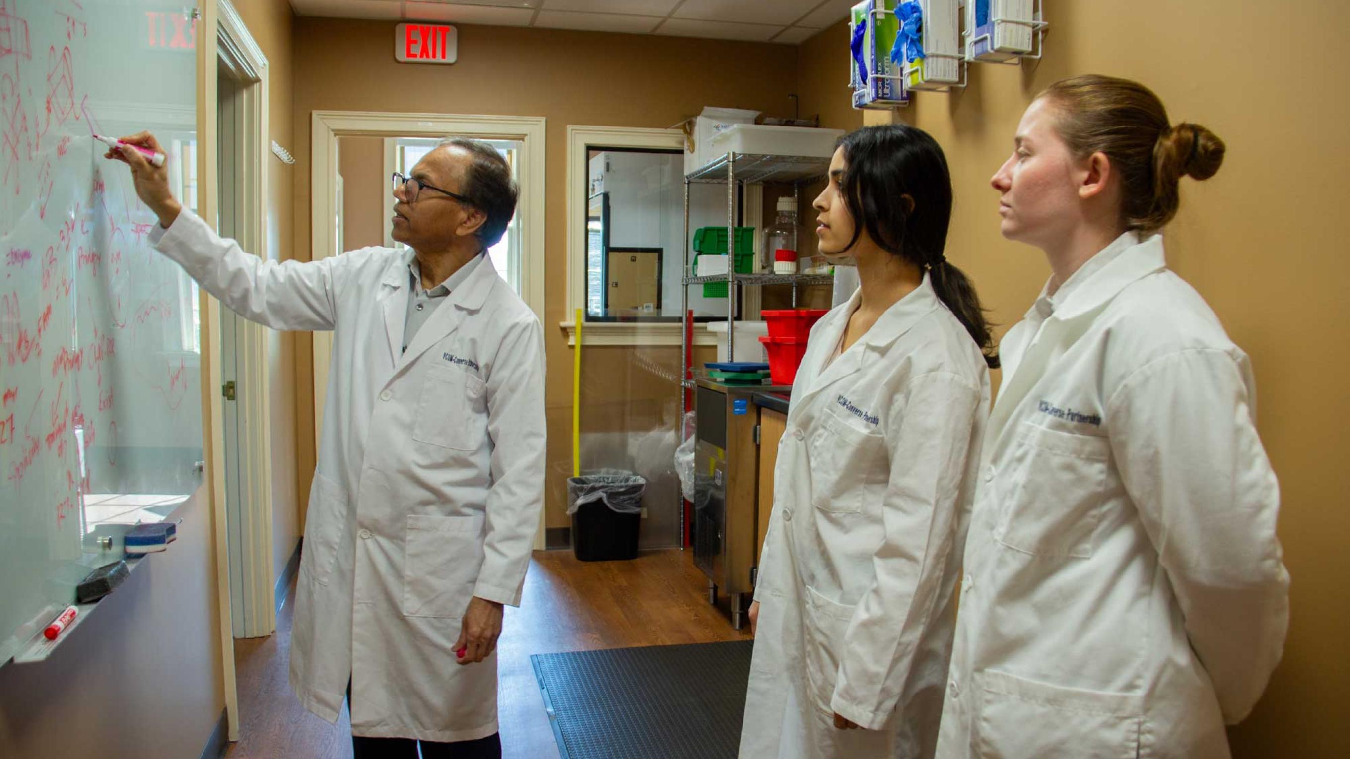 Bidyut Mohanty drawing on a white board in front of two student doctors