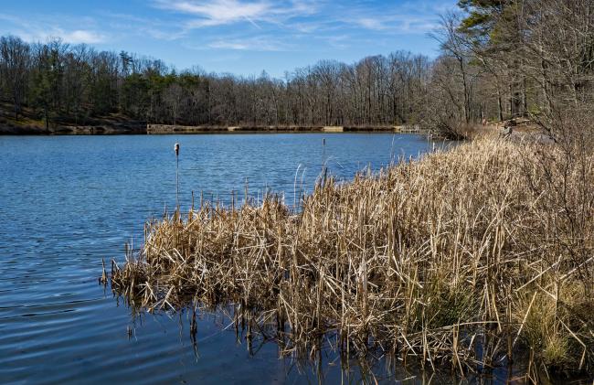 pandapas pond in montgomery county virginia