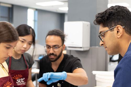 Medical student speaking with SEE camp participants in anatomy lab