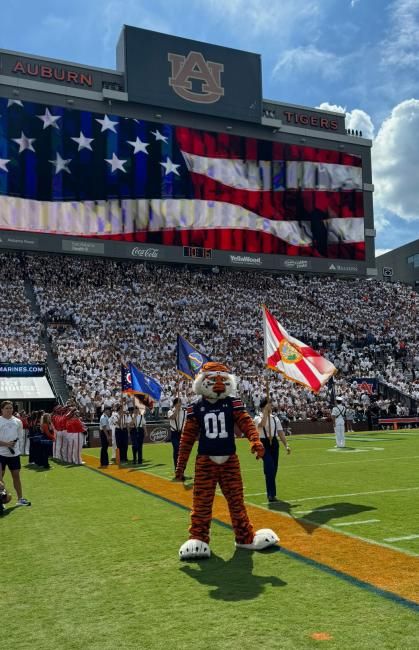 Auburn University mascot at a football game