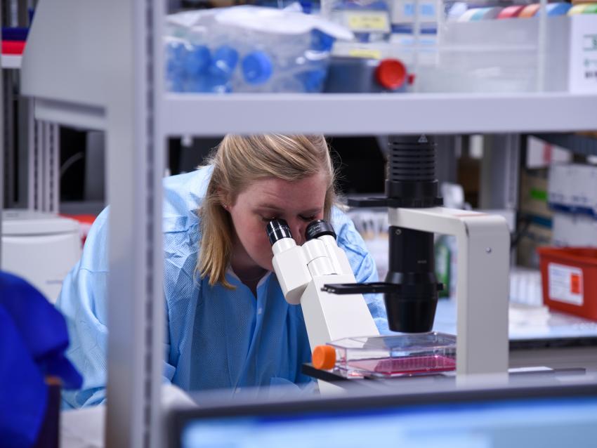 A researcher in a lab looks into a microscope.