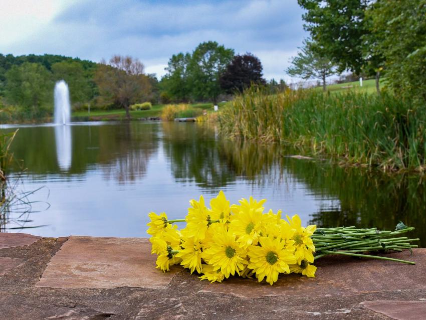 suicide awareness - yellow flowers and pond