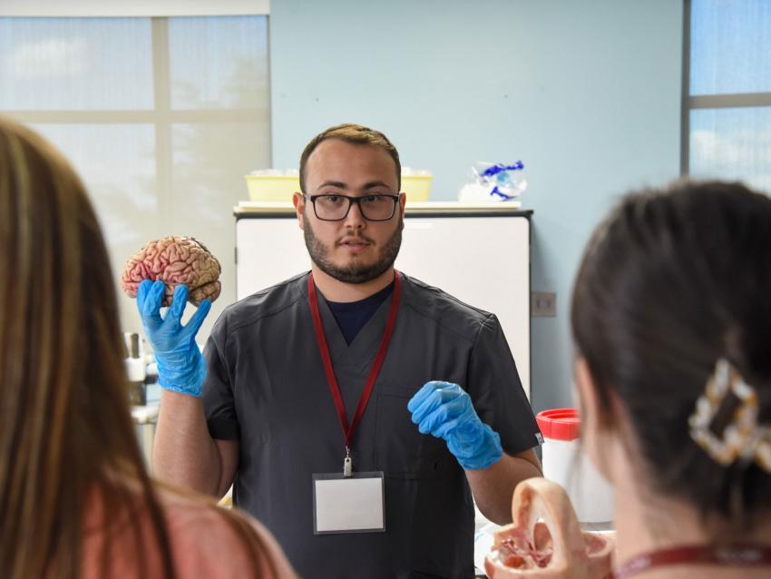 Medical student talking while holding a model of the human brain